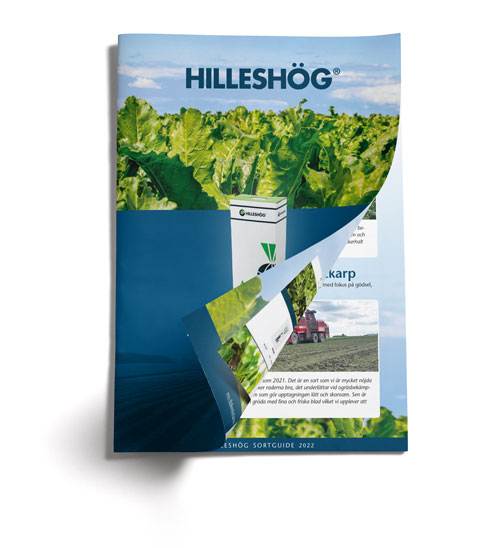 hilleshog_02